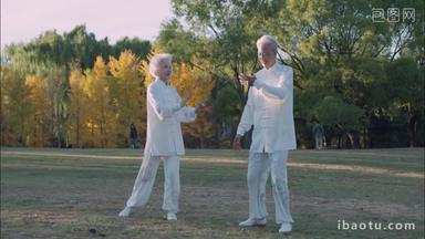 幸福的老年夫妇在公园里练太极拳